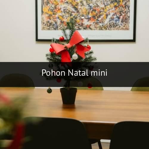 Natal (unsplash.com)