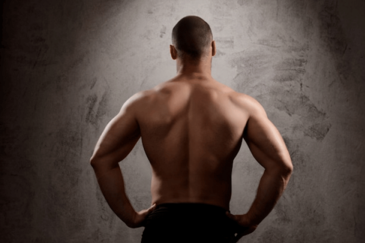 ilustrasi otot punggung pria