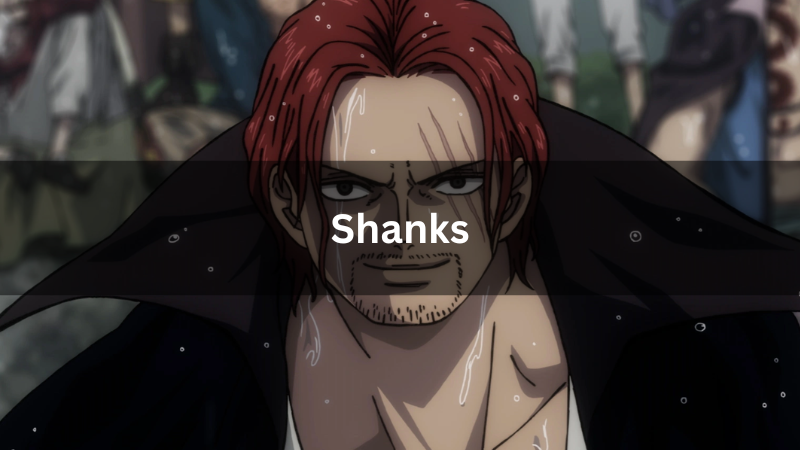 Shanks