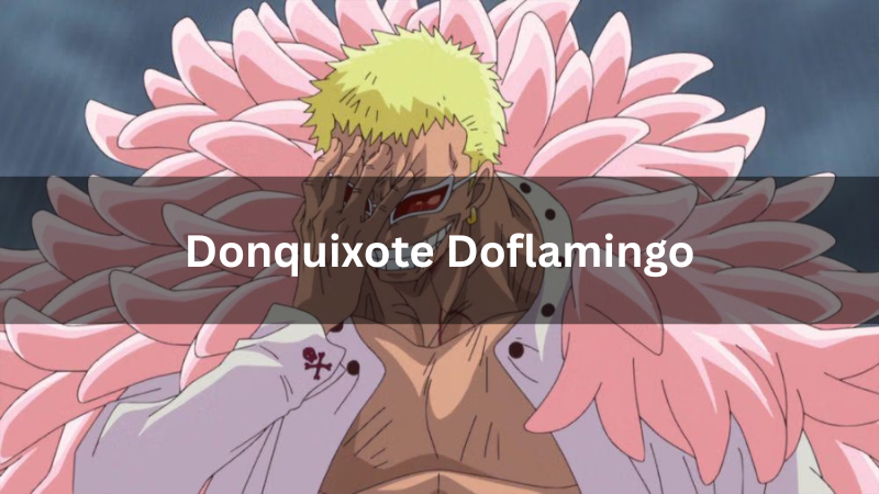 Donquixote Doflamingo