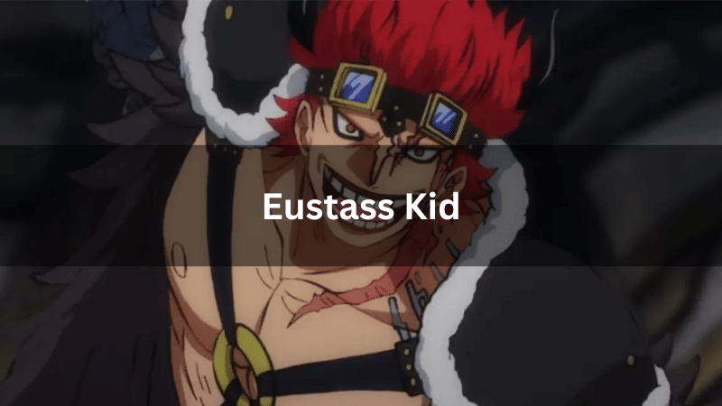 Eustass Kid