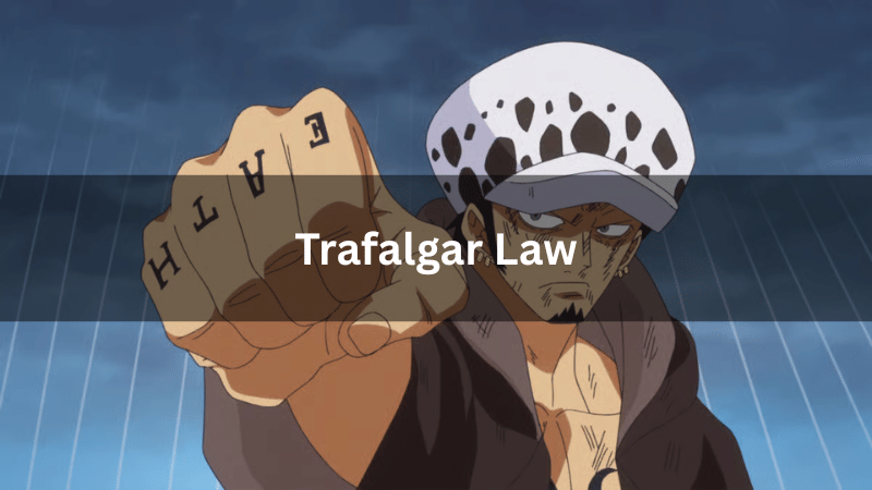 Trafalgar Law
