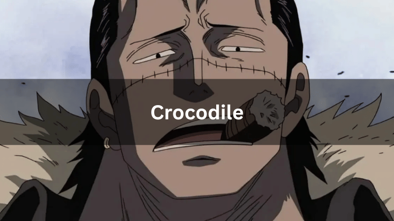 Crocodile