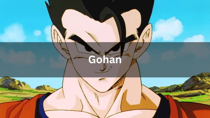 Gohan