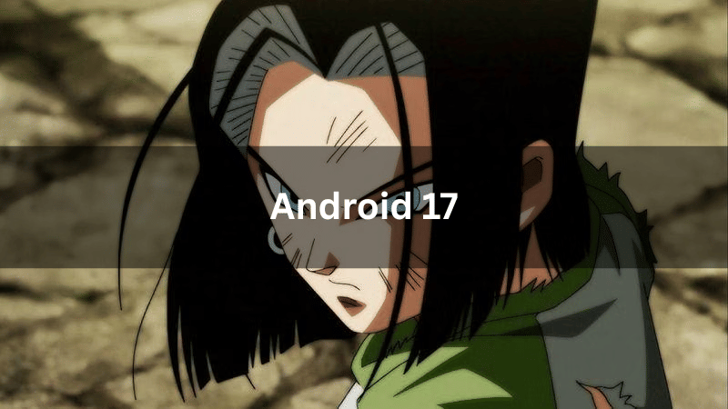 Android 17
