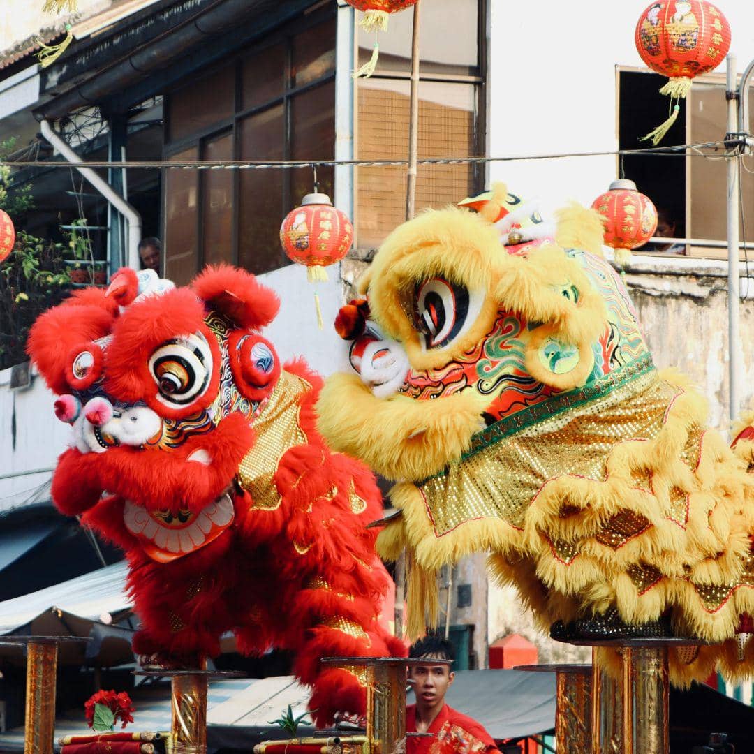 Potret barongsai 