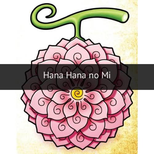 Devil Fruit (dok. Toei Animation/One Piece)