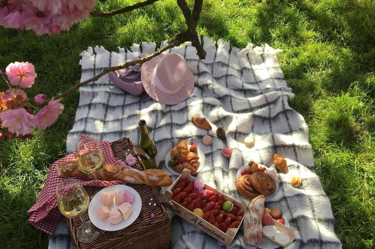 ilustrasi makanan yang biasanya ada saat menikmati tradisi hanami 