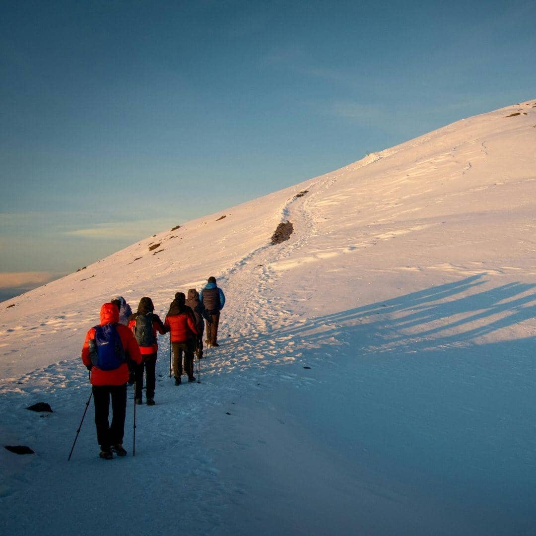 QUIZ personality (46).jpg