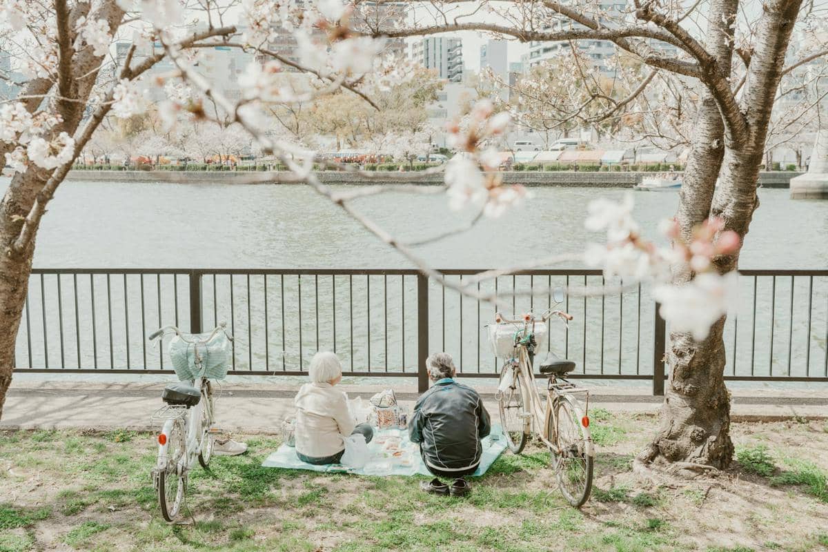 ilustrasi pasangan sedang menikmati keindahan sungai dari bawah pohon sakura
