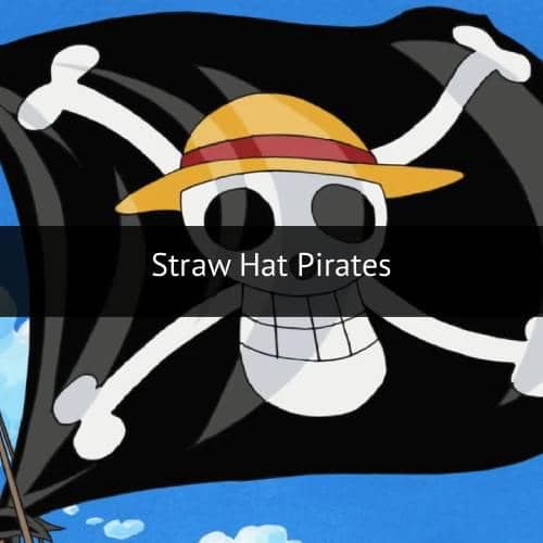 One Piece (dok. Toei Animation)