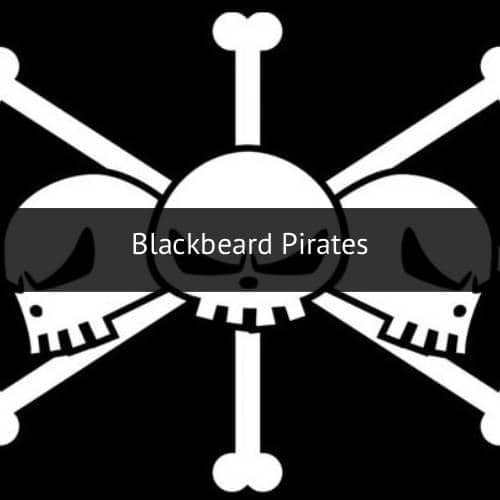 One Piece (dok. Toei Animation)