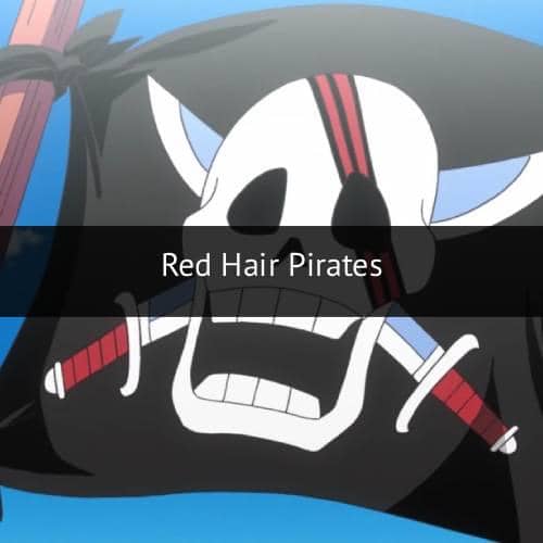 One Piece (dok. Toei Animation)