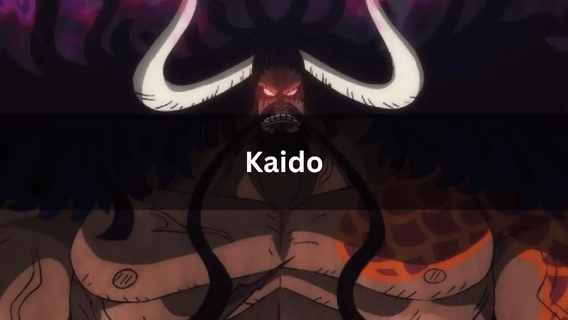 Kaido