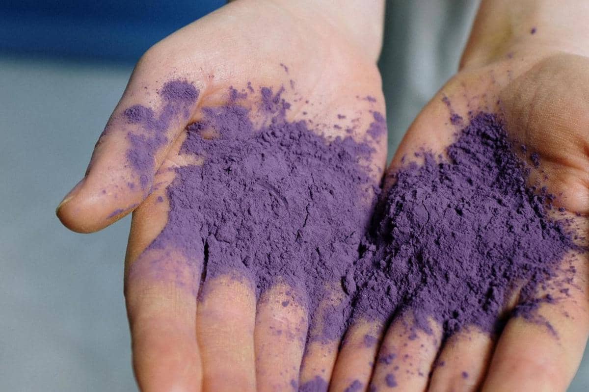 ilustrasi ube powder 