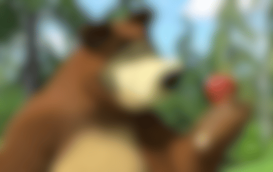 bear.png