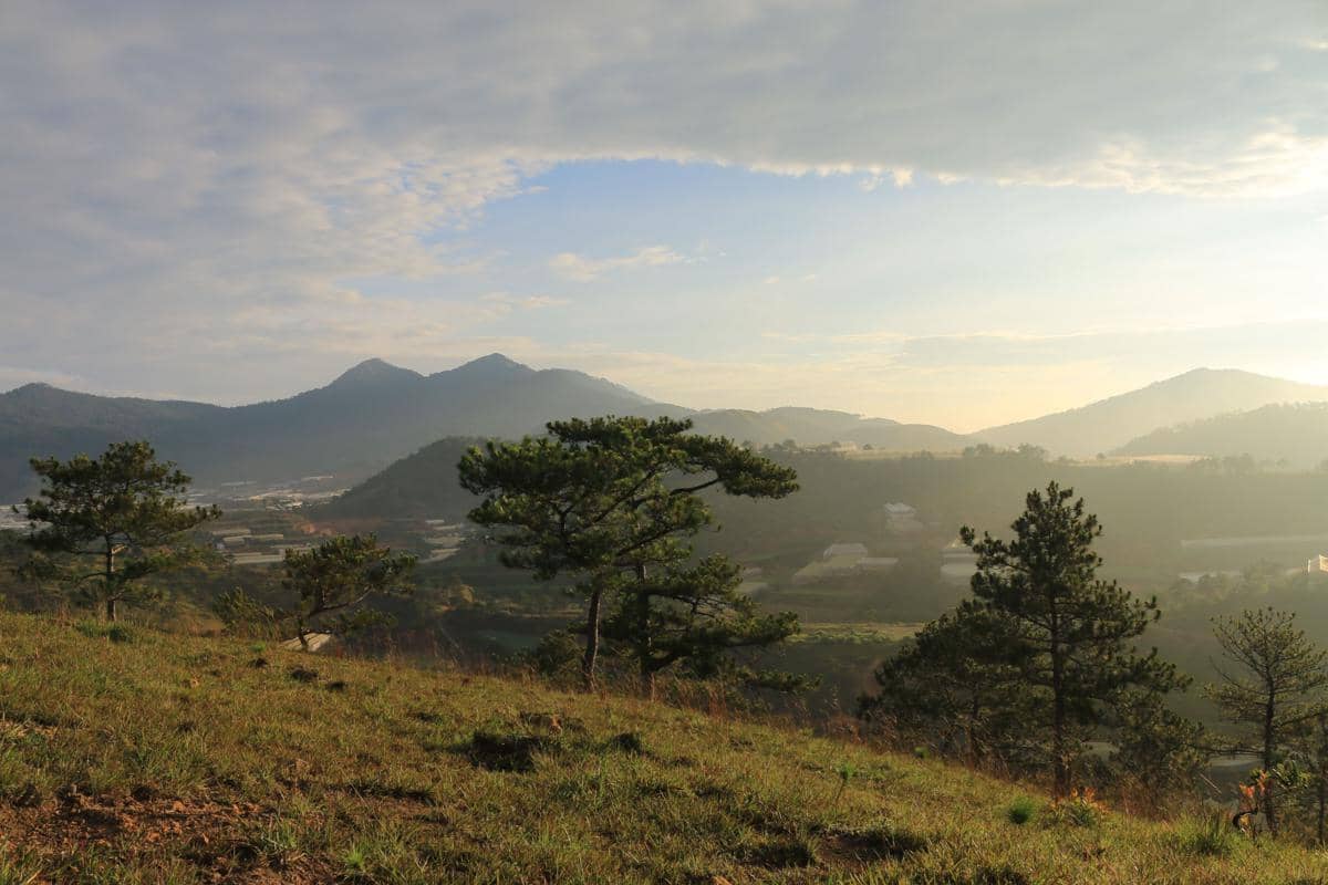 Pemandangan pagi hari di perbukitan dengan pepohonan hijau dan latar pegunungan yang diselimuti kabut tipis di bawah langit cerah.