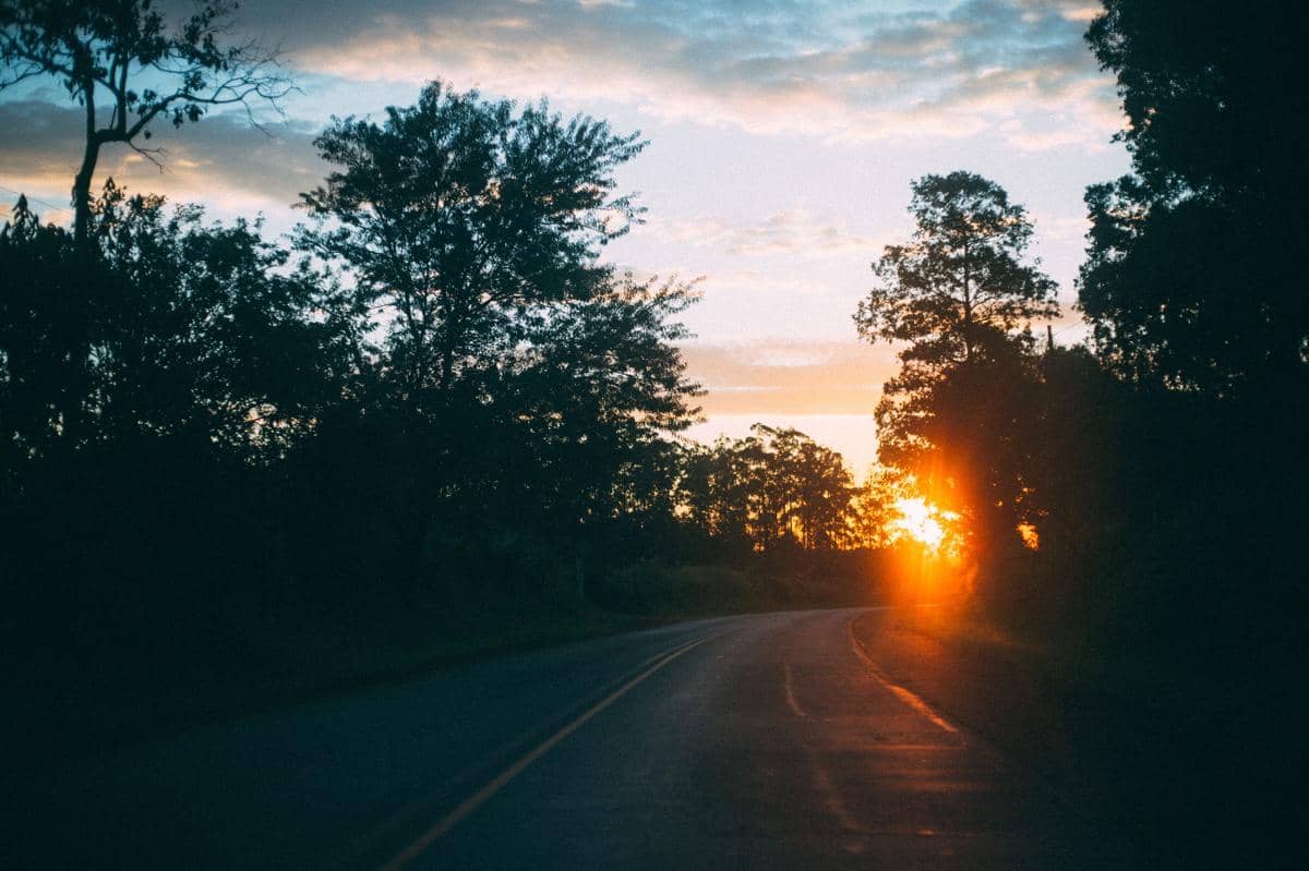 Pemandangan jalan beraspal di tepi pepohonan dengan matahari terbenam yang memancarkan cahaya oranye di langit sore.