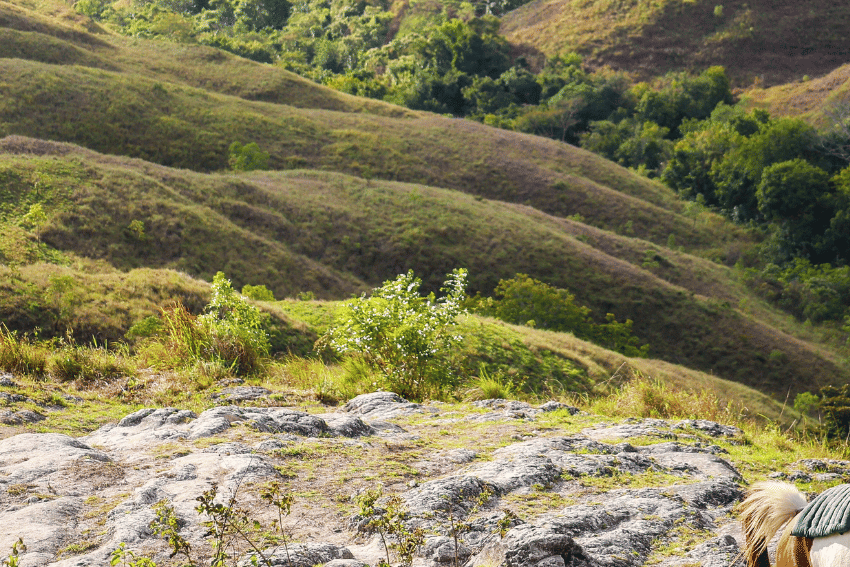 Potret Bukit Wairinding di Sumba Timur, NTT (pexels.com/teras dondon)
