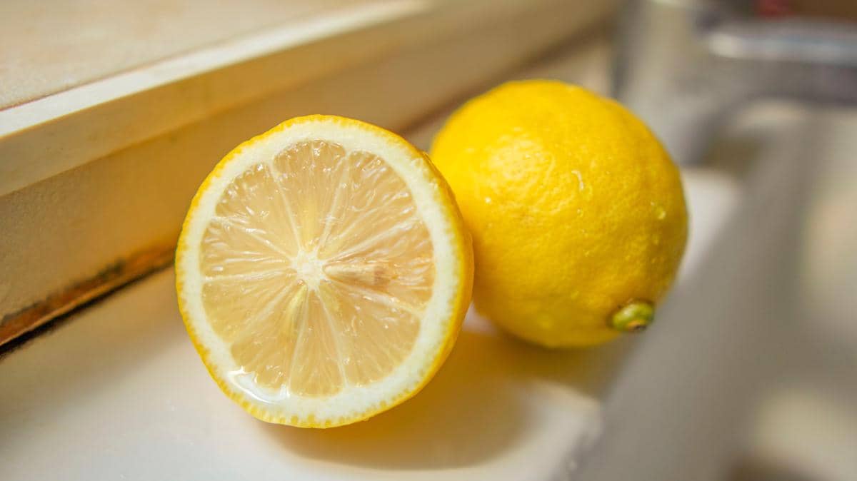 Ilustrasi lemon segar