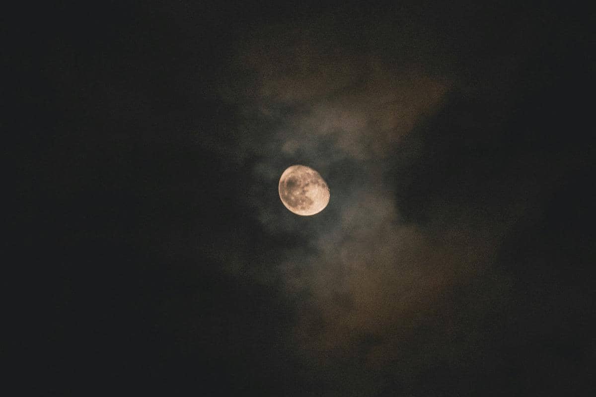 ilustrasi Langit Malam