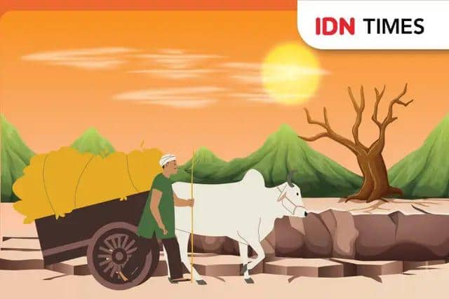 Kekeringan Jatim, 3 Daerah di Madura Jadi Atensi