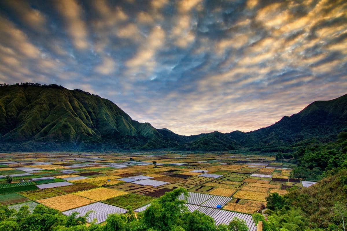 ilustrasi panorama Desa Sembalun (unsplash.com/Koes nadi)
