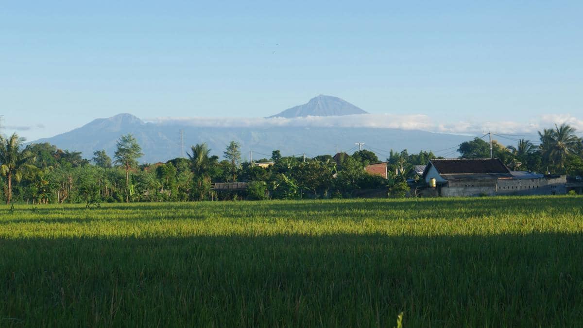 ilustrasi suasana di Lombok (unsplash.com/Ahmad Mujahid Akbar)
