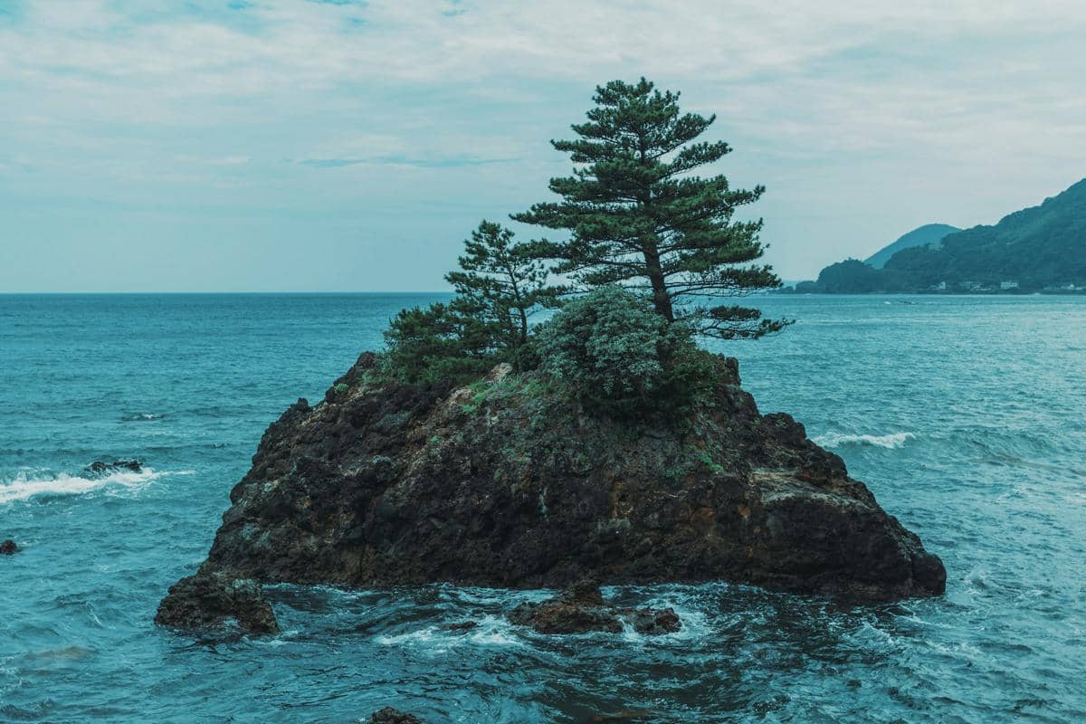 ilustrasi laut Jepang (unsplash.com/Matthieu Bühler)